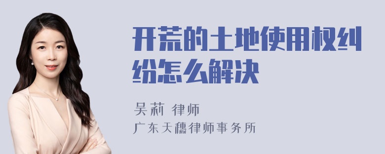 开荒的土地使用权纠纷怎么解决