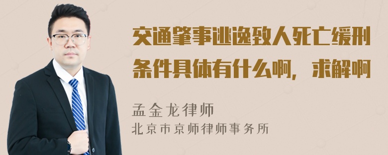 交通肇事逃逸致人死亡缓刑条件具体有什么啊，求解啊