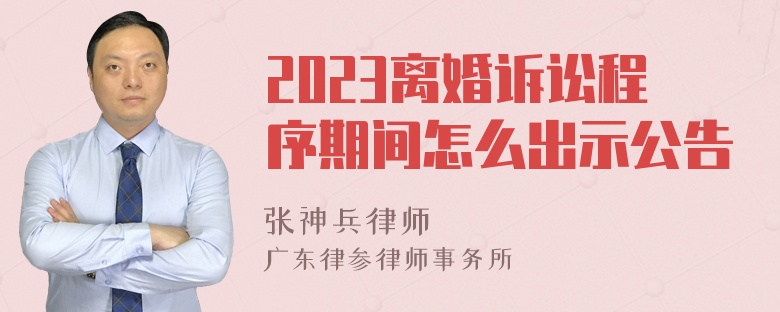 2023离婚诉讼程序期间怎么出示公告