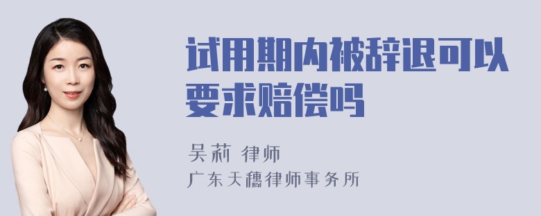 试用期内被辞退可以要求赔偿吗