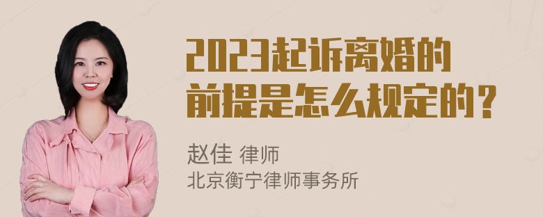 2023起诉离婚的前提是怎么规定的？