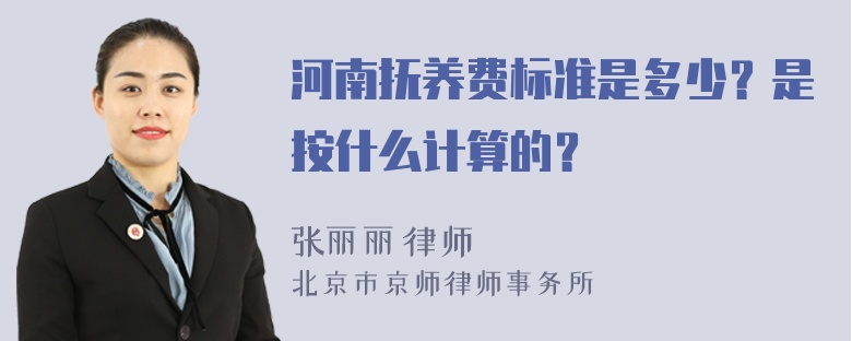 河南抚养费标准是多少？是按什么计算的？