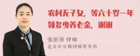 农村无子女，等六十岁一年领多少养老金，谢谢