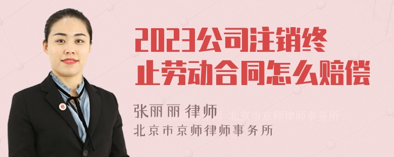 2023公司注销终止劳动合同怎么赔偿