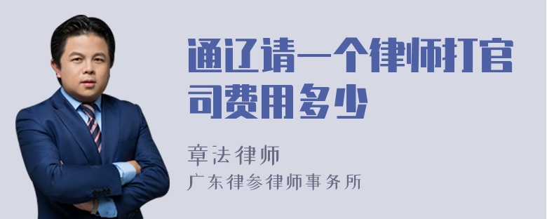 通辽请一个律师打官司费用多少