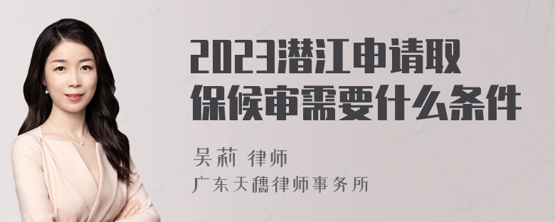 2023潜江申请取保候审需要什么条件