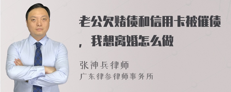 老公欠赌债和信用卡被催债，我想离婚怎么做