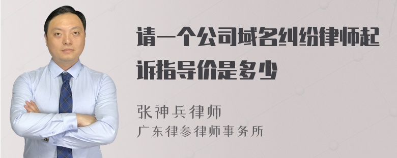 请一个公司域名纠纷律师起诉指导价是多少