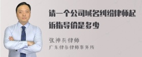 请一个公司域名纠纷律师起诉指导价是多少