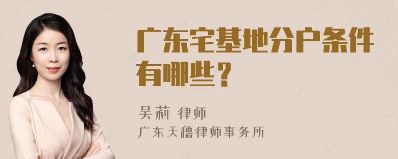 广东宅基地分户条件有哪些？