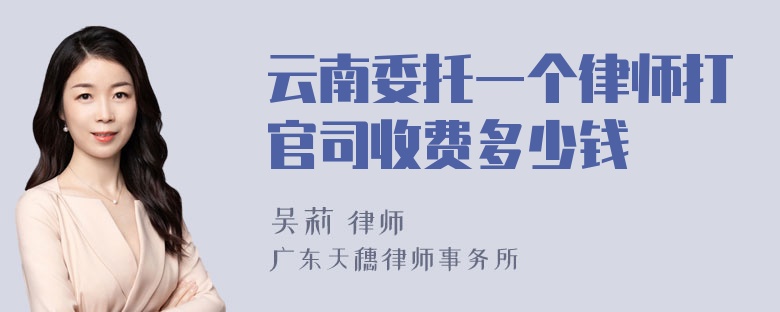 云南委托一个律师打官司收费多少钱