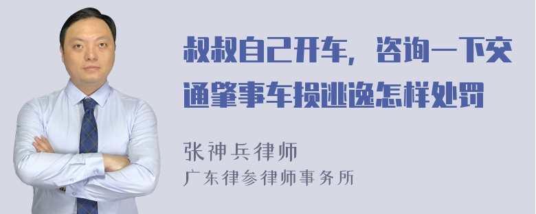 叔叔自己开车，咨询一下交通肇事车损逃逸怎样处罚