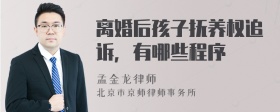 离婚后孩子抚养权追诉，有哪些程序