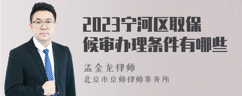 2023宁河区取保候审办理条件有哪些