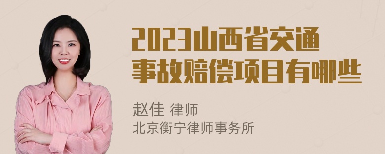 2023山西省交通事故赔偿项目有哪些