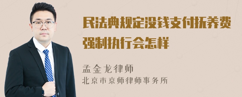 民法典规定没钱支付抚养费强制执行会怎样