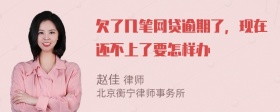 欠了几笔网贷逾期了，现在还不上了要怎样办