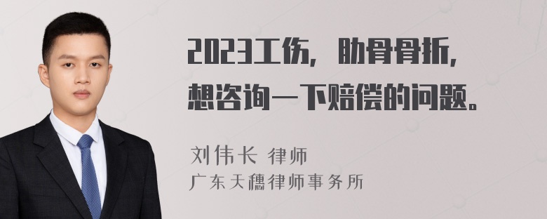 2023工伤，肋骨骨折，想咨询一下赔偿的问题。