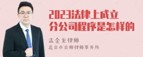 2023法律上成立分公司程序是怎样的