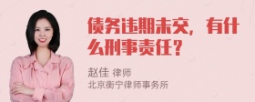 债务违期未交，有什么刑事责任？