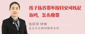 孩子抚养费不按月交可以起诉吗，怎么收费