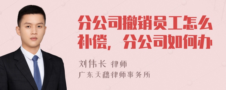 分公司撤销员工怎么补偿，分公司如何办