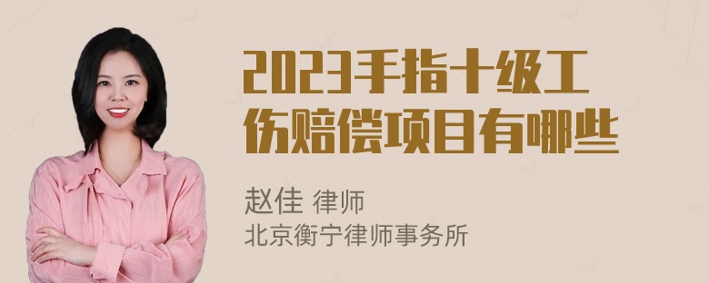 2023手指十级工伤赔偿项目有哪些