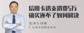 信用卡透支消费5万确实还不了如何解决