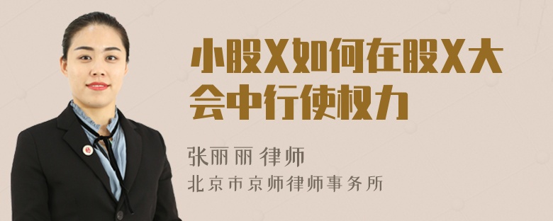 小股X如何在股X大会中行使权力