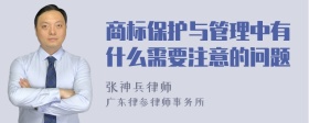 商标保护与管理中有什么需要注意的问题