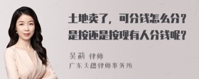 土地卖了，可分钱怎么分？是按还是按现有人分钱呢？