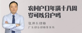 农村户口年满十八周岁可以分户吗