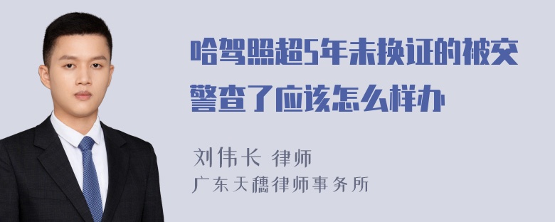 哈驾照超5年未换证的被交警查了应该怎么样办