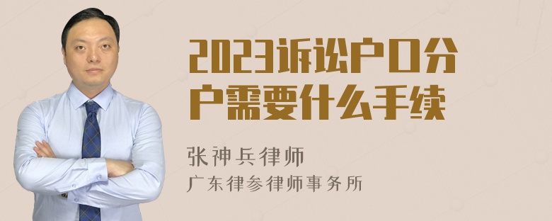 2023诉讼户口分户需要什么手续