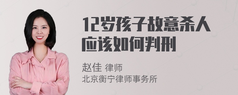 12岁孩子故意杀人应该如何判刑