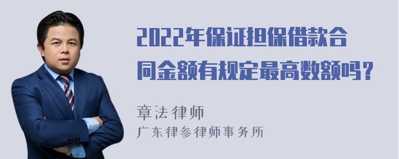 2022年保证担保借款合同金额有规定最高数额吗？