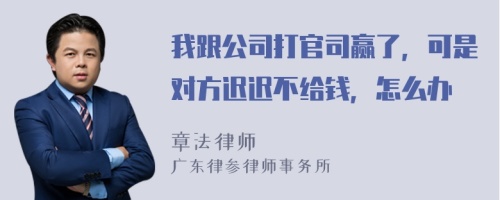 我跟公司打官司赢了，可是对方迟迟不给钱，怎么办