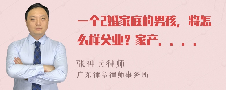 一个2婚家庭的男孩，将怎么样父业？家产．．．．