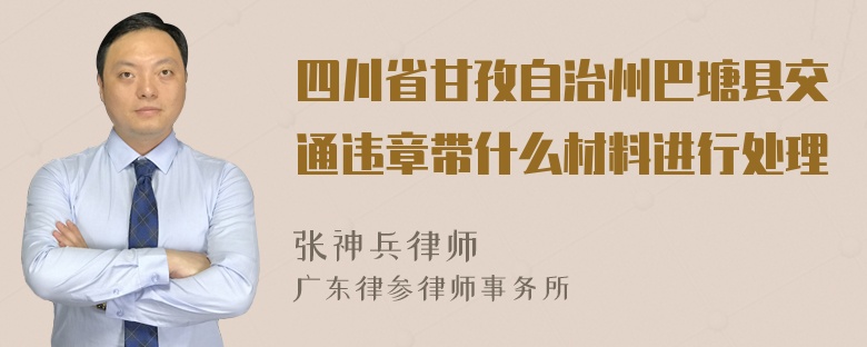 四川省甘孜自治州巴塘县交通违章带什么材料进行处理