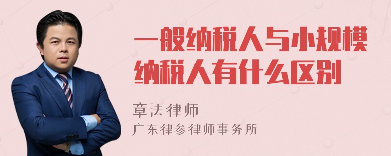 一般纳税人与小规模纳税人有什么区别