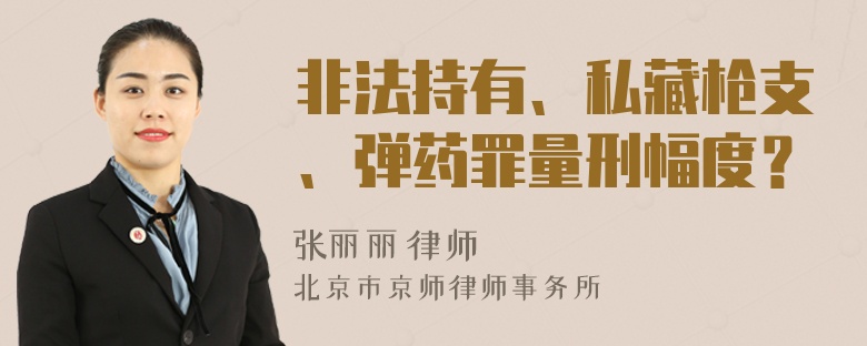 非法持有、私藏枪支、弹药罪量刑幅度？