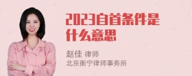 2023自首条件是什么意思