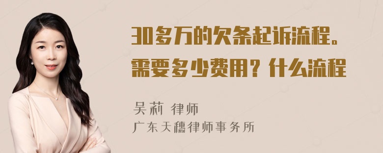 30多万的欠条起诉流程。需要多少费用？什么流程