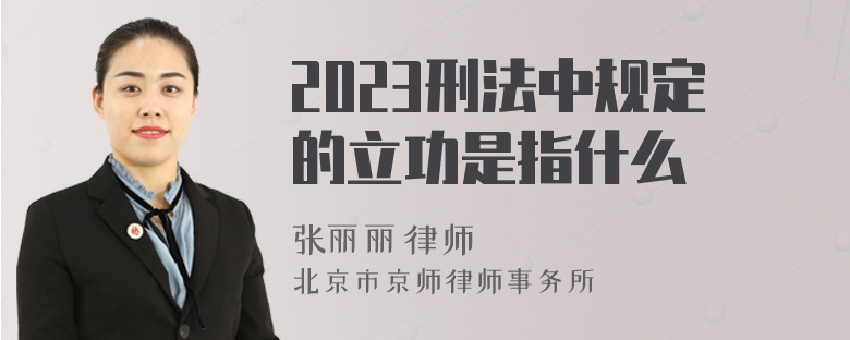 2023刑法中规定的立功是指什么