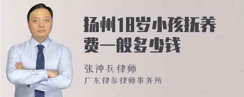 扬州18岁小孩抚养费一般多少钱