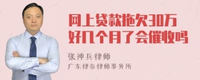 网上贷款拖欠30万好几个月了会催收吗