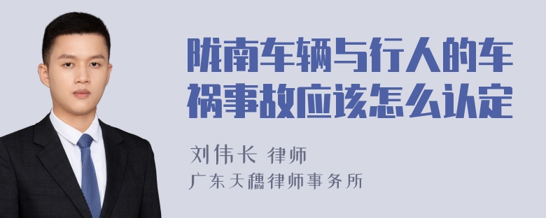 陇南车辆与行人的车祸事故应该怎么认定