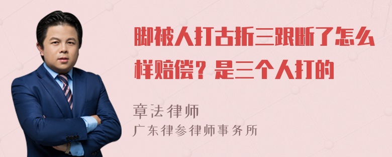 脚被人打古折三跟断了怎么样赔偿？是三个人打的