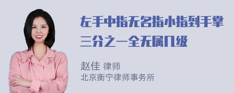 左手中指无名指小指到手掌三分之一全无属几级