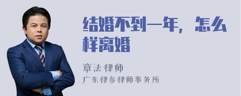 结婚不到一年，怎么样离婚
